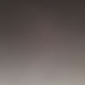 Meet your Posher, Cheyenne